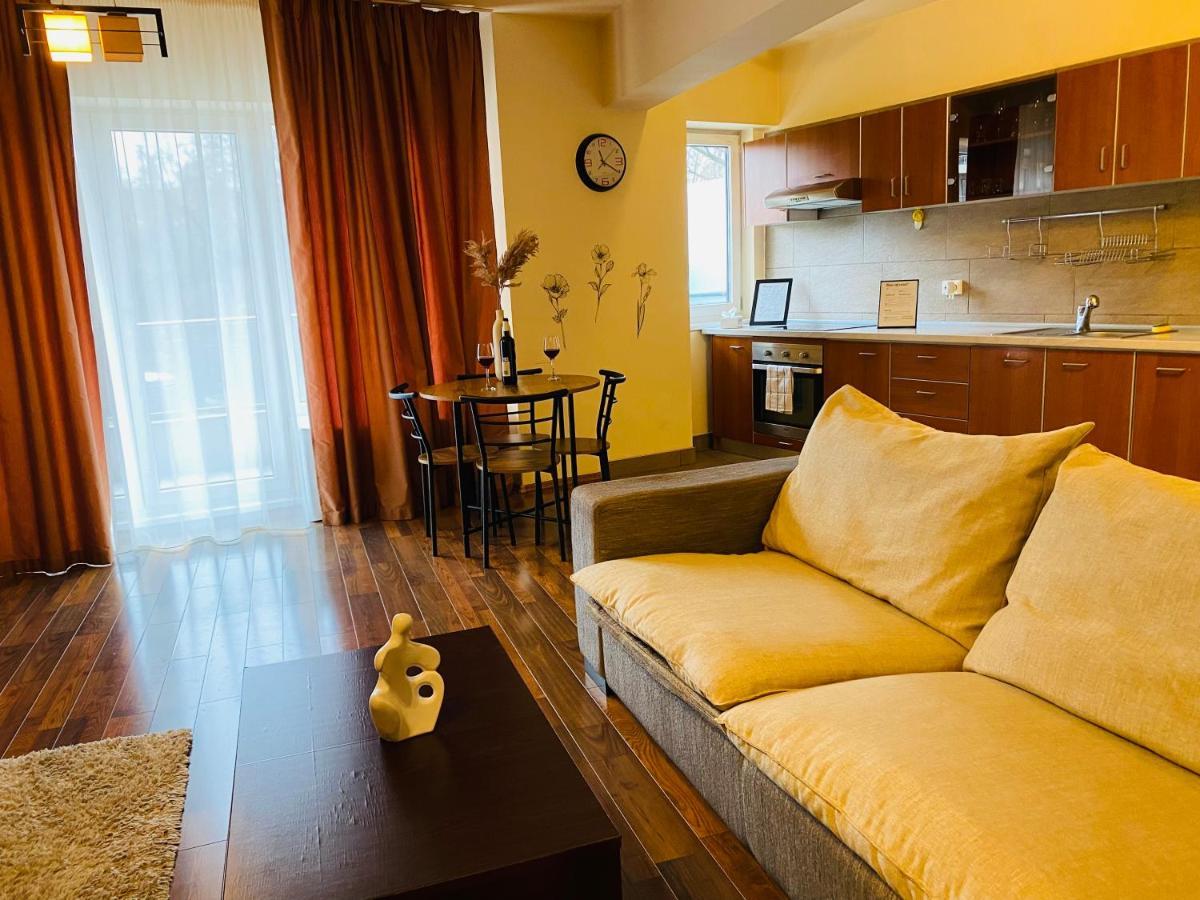 Eclipse Apartment Free Parking Cluj-Napoca Exterior foto